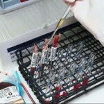 Phlebotomy Labs